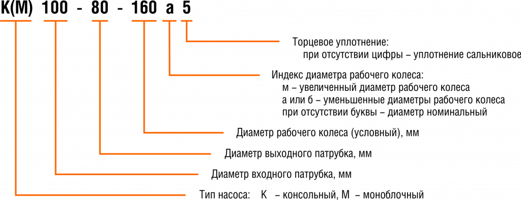  ().png